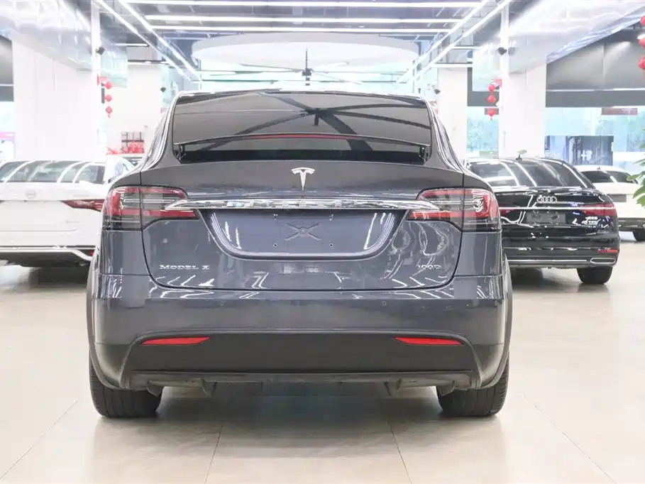 Tesla Model X 2017 Model X 100D