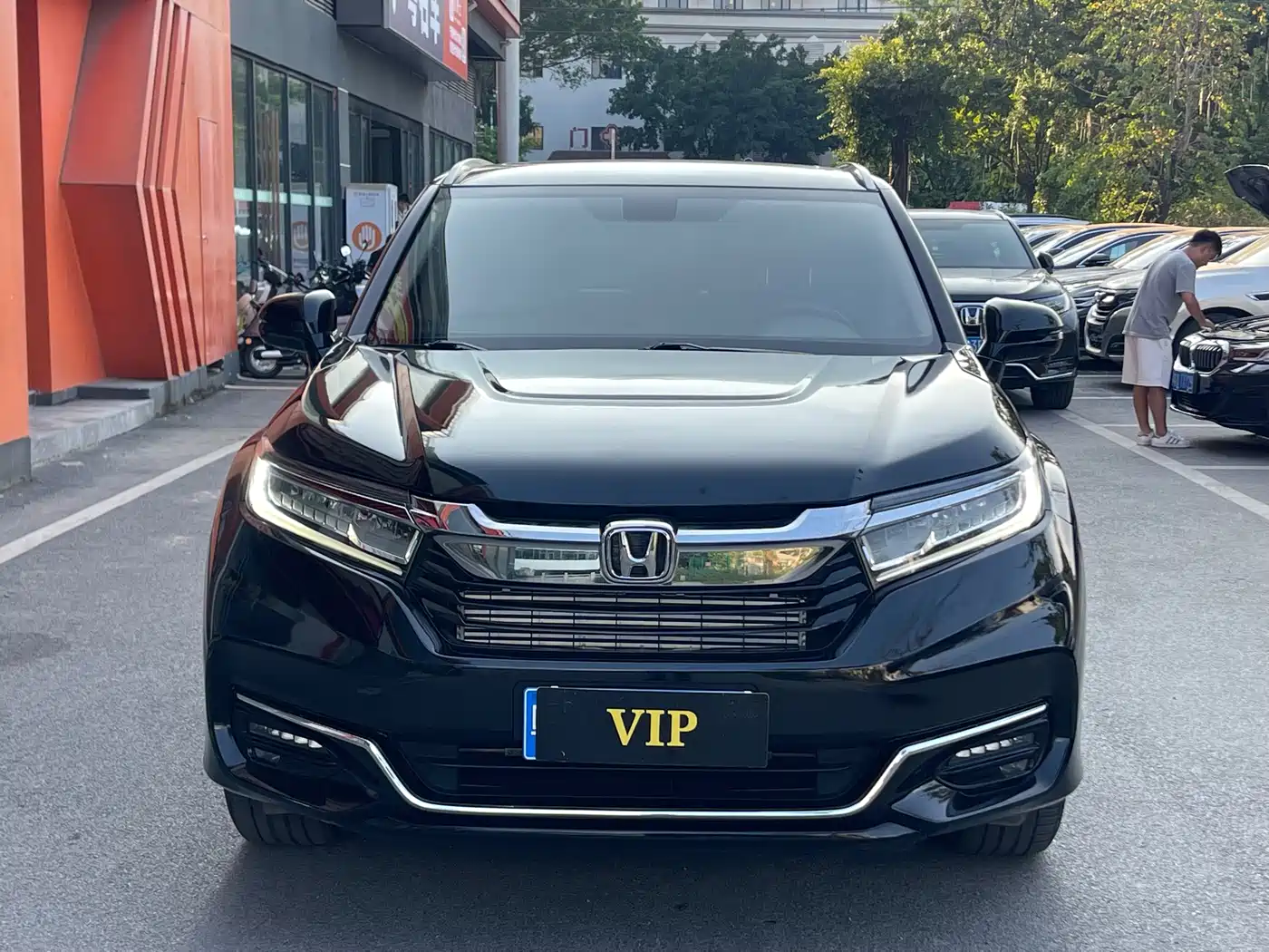 Honda Avancier