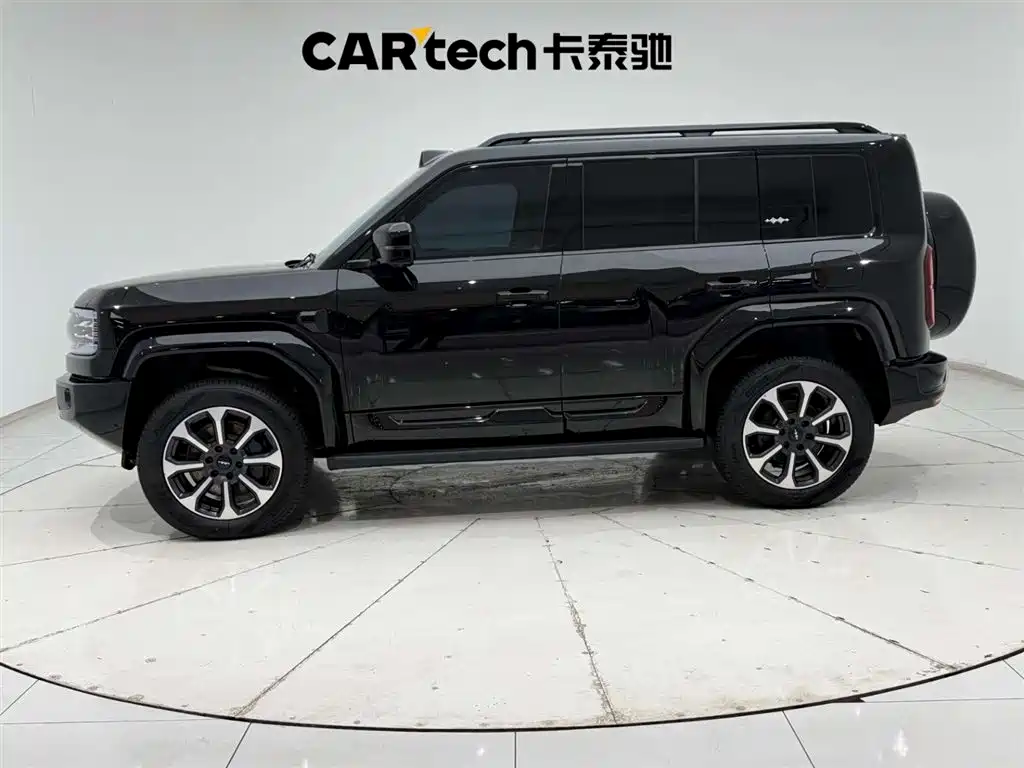 FANG CHENG BAO LEOPARD 5