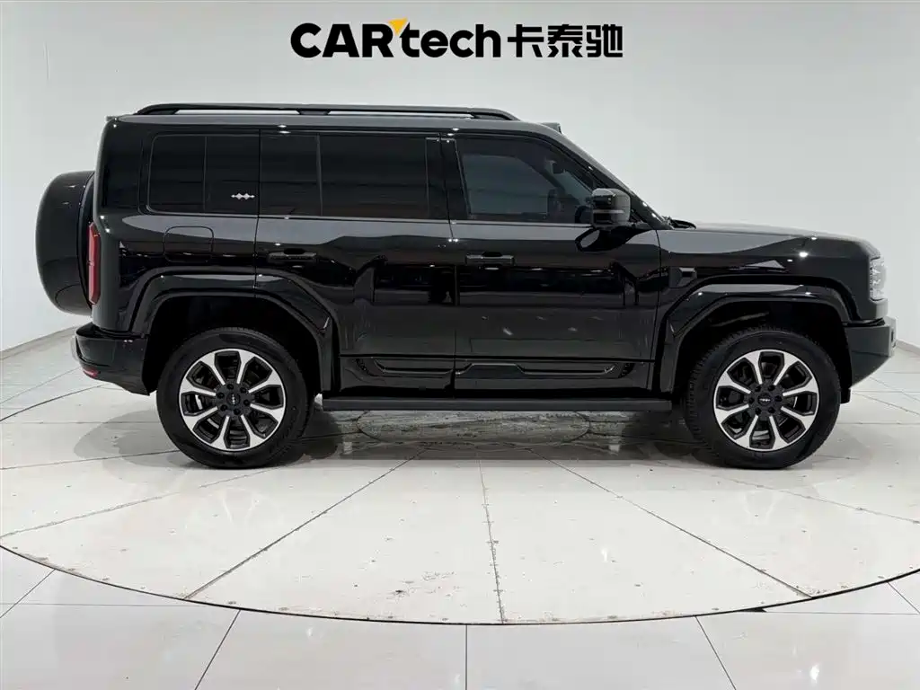 FANG CHENG BAO LEOPARD 5