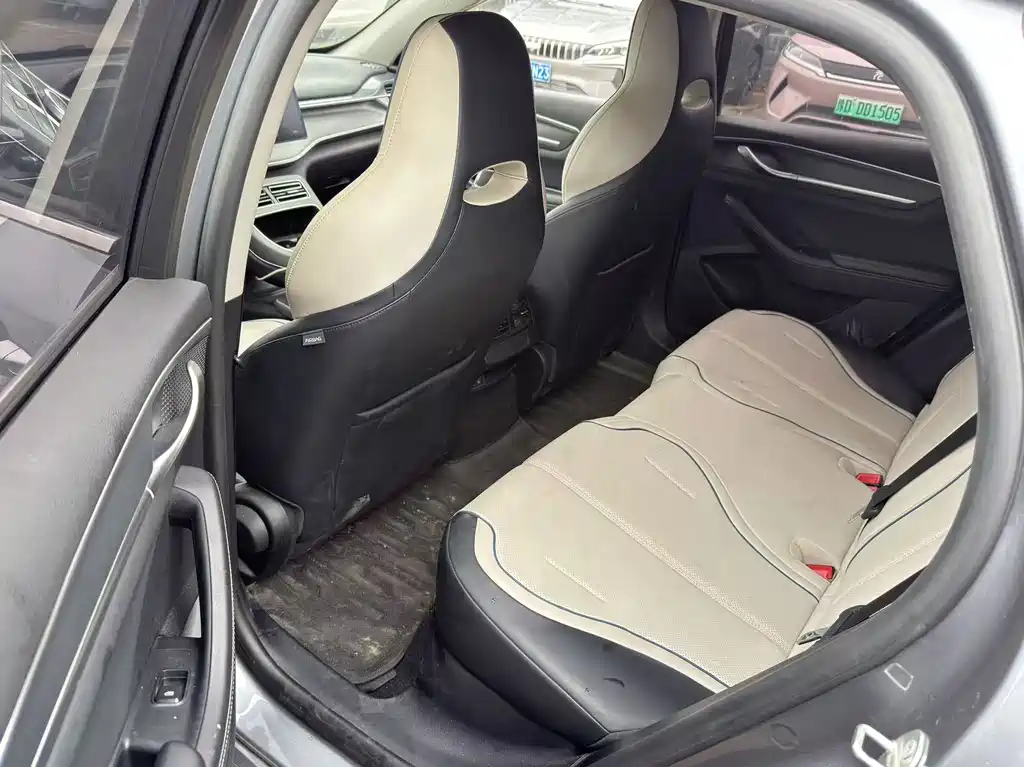 BYD Destroyer 05 2024 DM-i 55KM Luxury