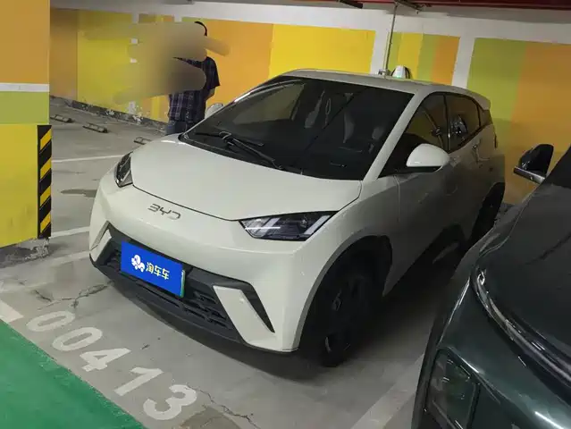2024 BYD Seagull