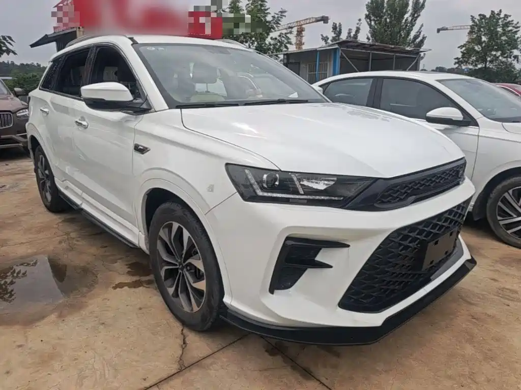 SWM SWM G01 — миниатюра 4