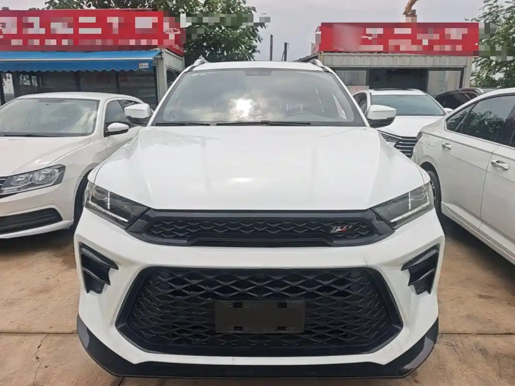 SWM SWM G01 — миниатюра 3