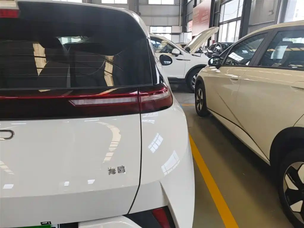 BYD Seagull 2025 Smart Drive 305km