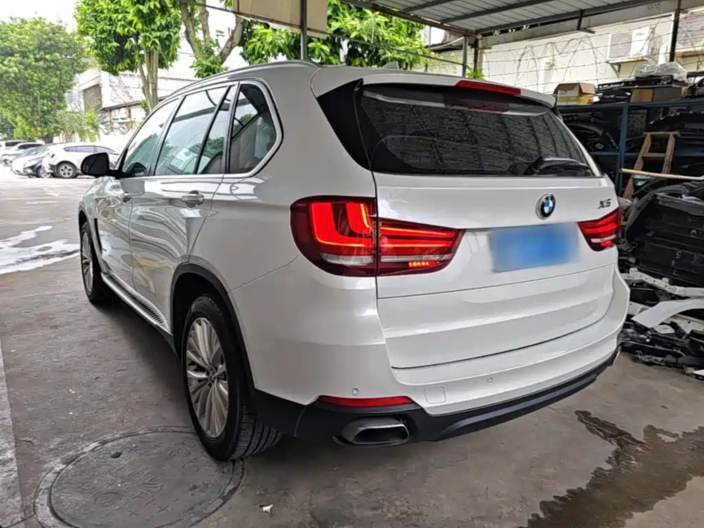 BMW X5 (Import) — миниатюра 5
