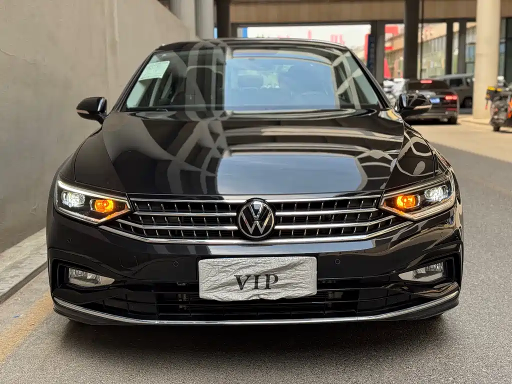 Volkswagen Magotan — миниатюра 2