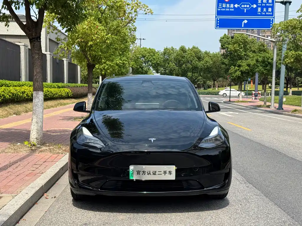 Tesla Model Y — миниатюра 2