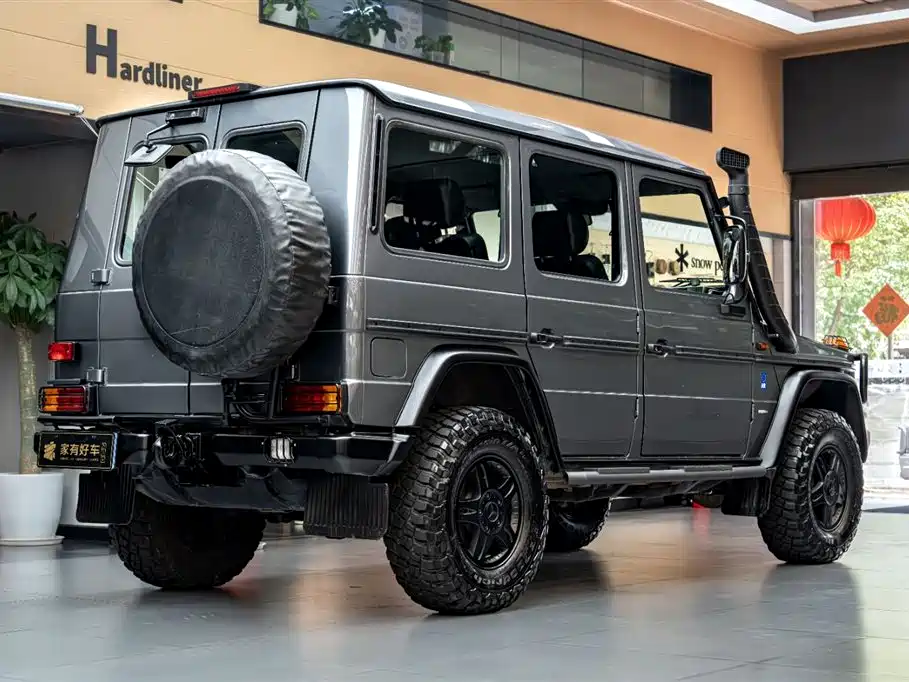 Mercedes-Benz G-Class G 2010 G300P