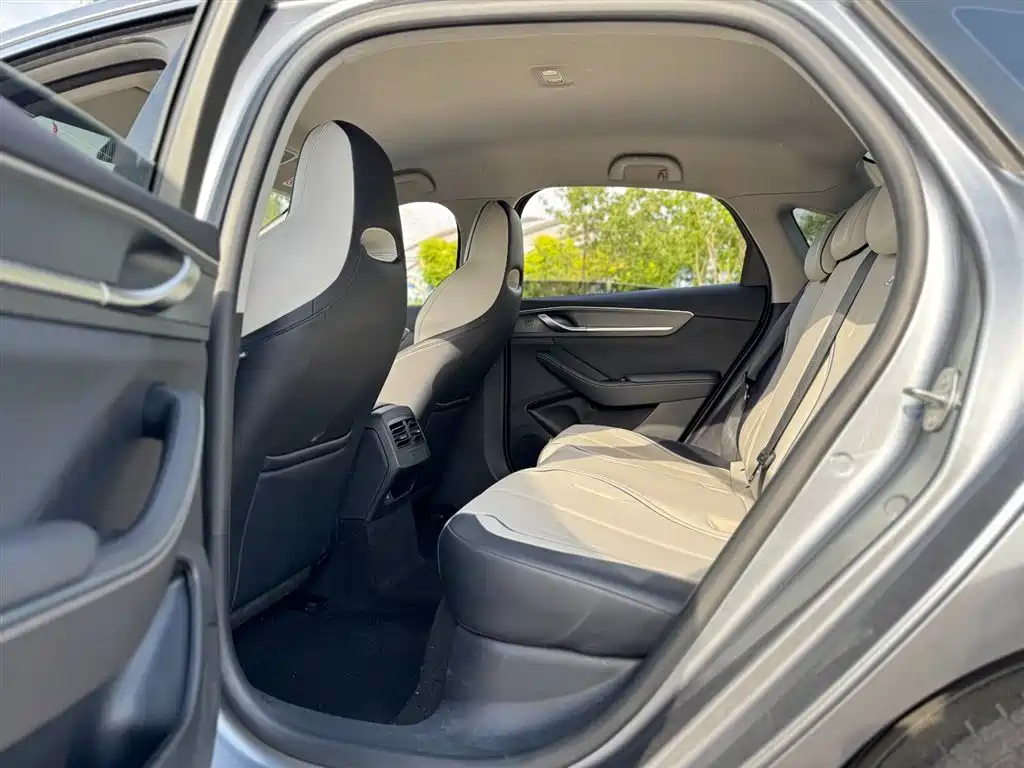 BYD Destroyer 05 2024 DM-i 55KM Luxury