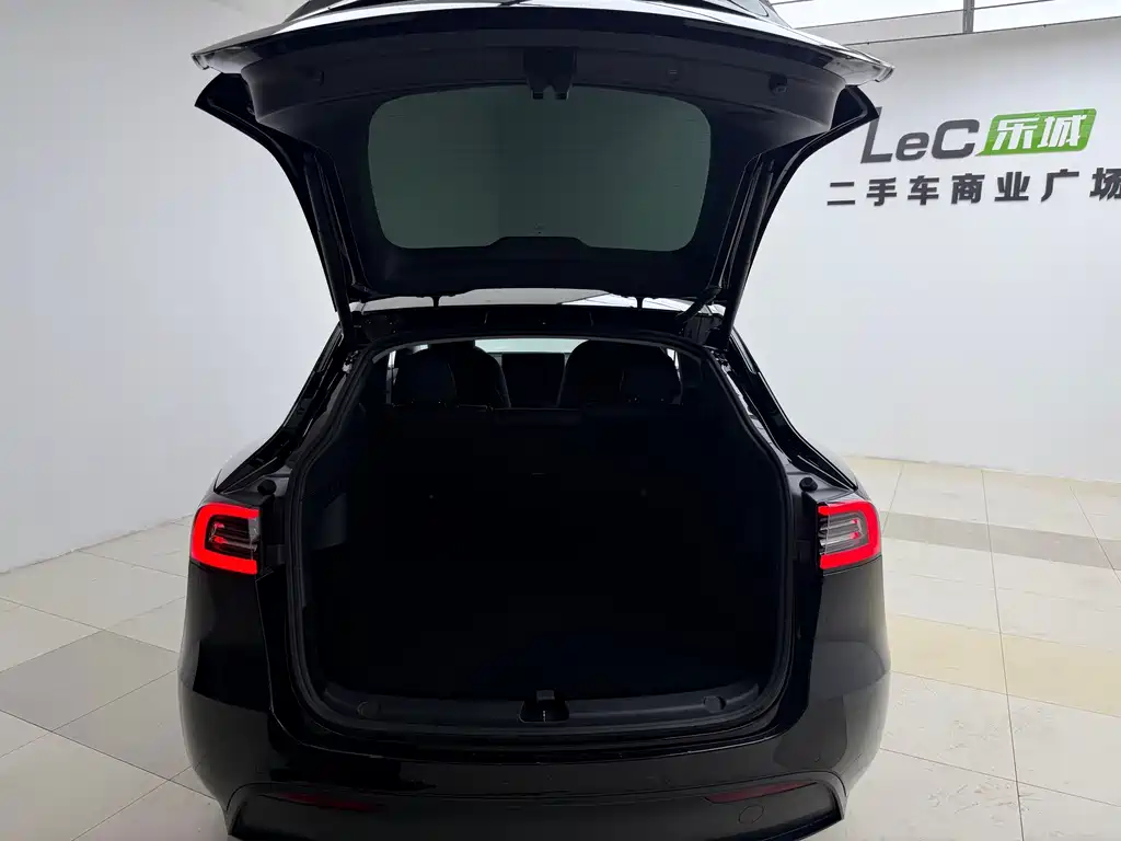 Tesla Model Y — миниатюра 14