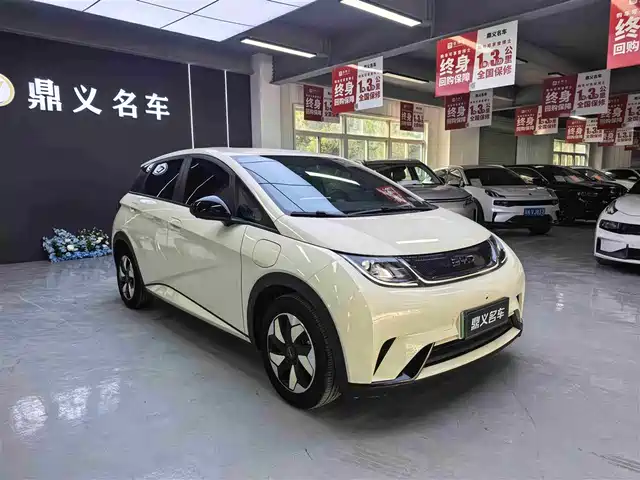 BYD DOLPHIN 2025