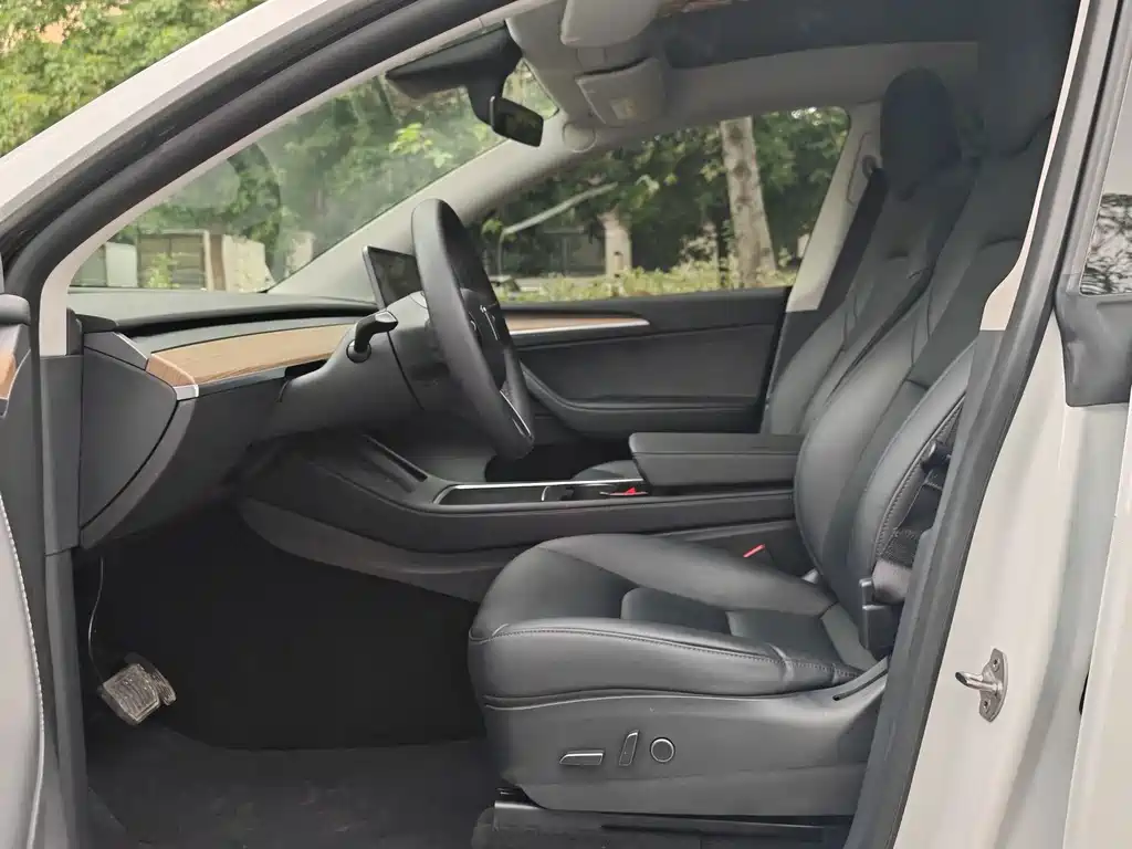 Tesla Model Y — миниатюра 6
