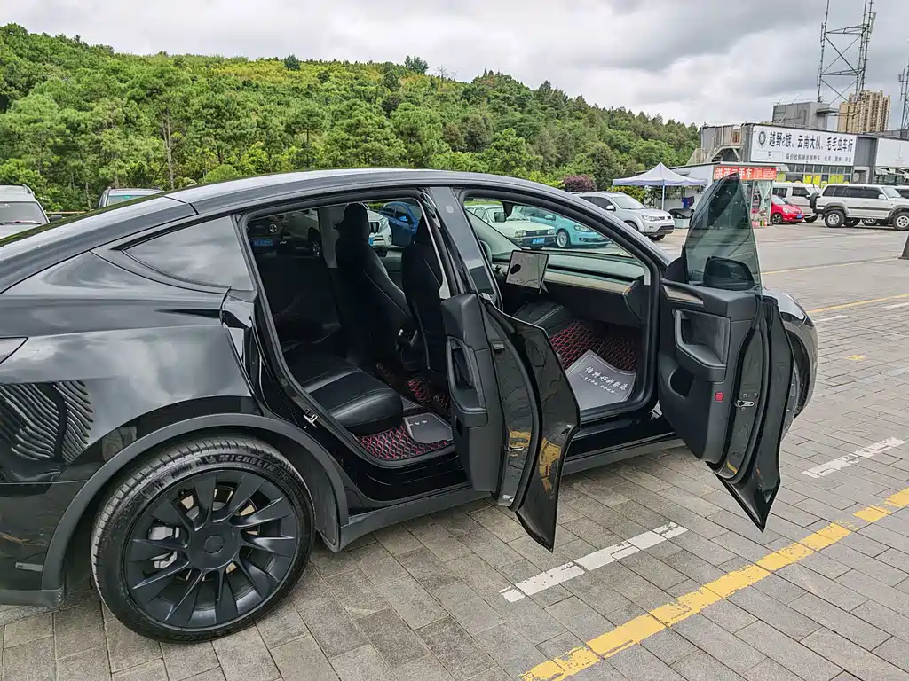 Tesla Model Y — миниатюра 13