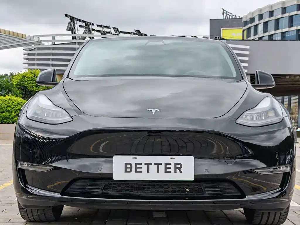 Tesla Model Y — миниатюра 5