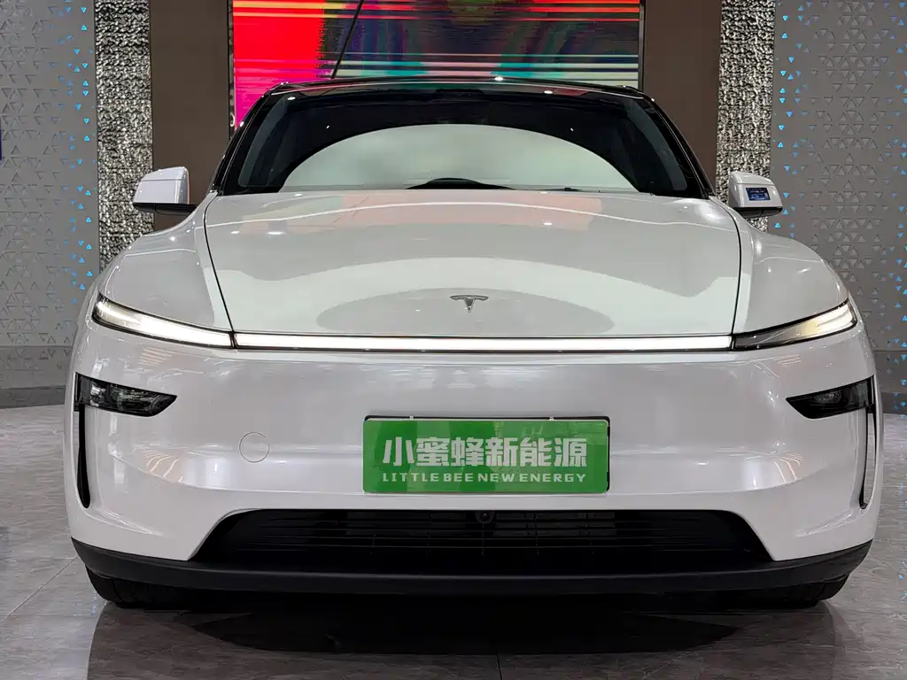 Tesla Model Y — миниатюра 2