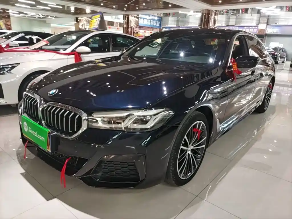 BMW 5 Series — миниатюра 2