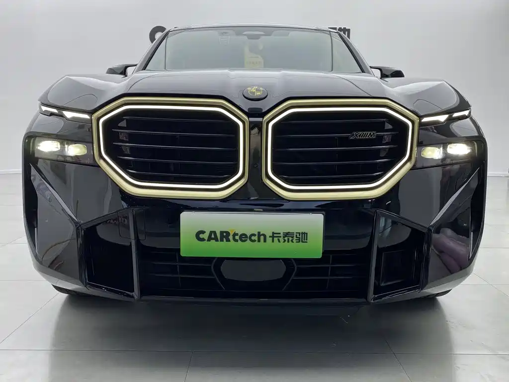 BMW XM — миниатюра 7