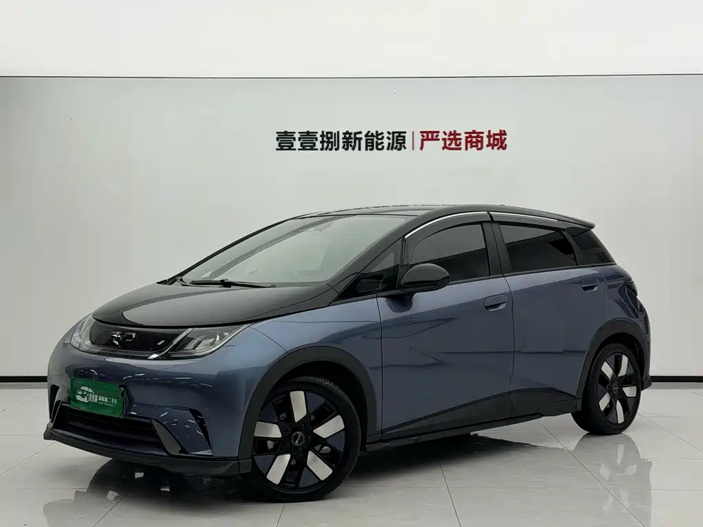 2025 BYD Dolphin - zdjęcie 1 z 9