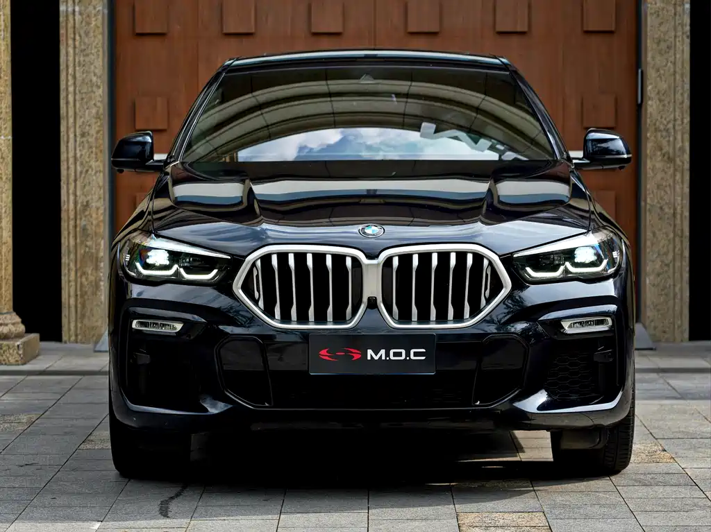 BMW X6 2021 xDrive30i M Sport