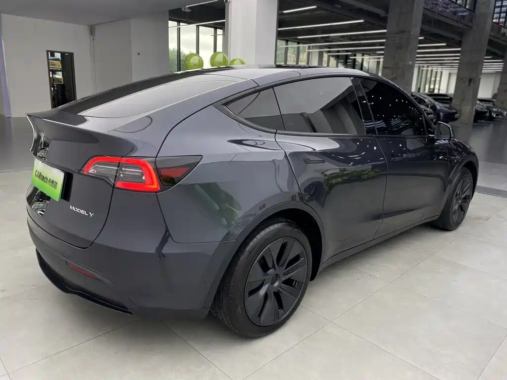 Tesla Model Y — миниатюра 3
