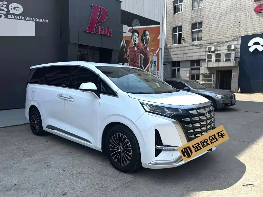 Denza Denza D9 — миниатюра 5