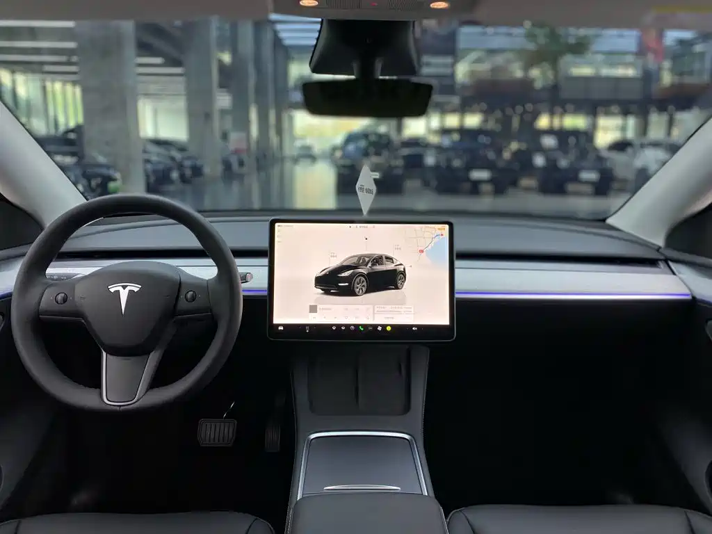 Tesla Model Y — миниатюра 13