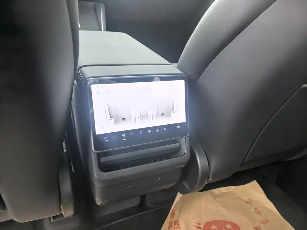 Tesla Model Y L