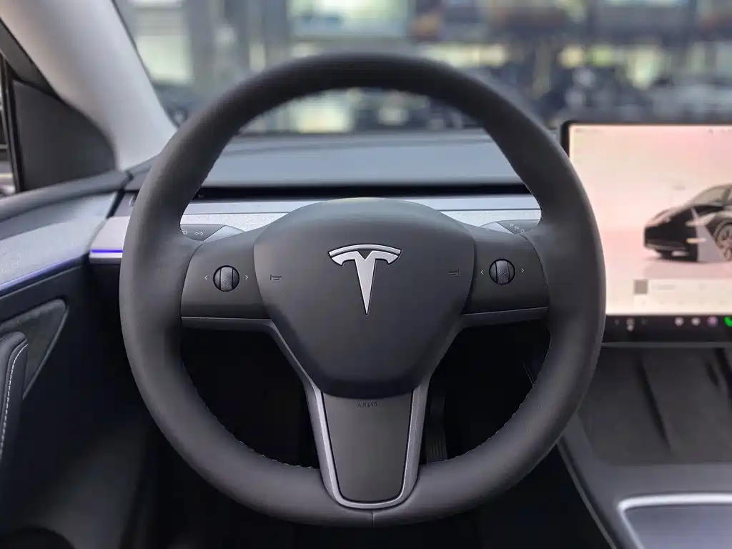 Tesla Model Y — миниатюра 14
