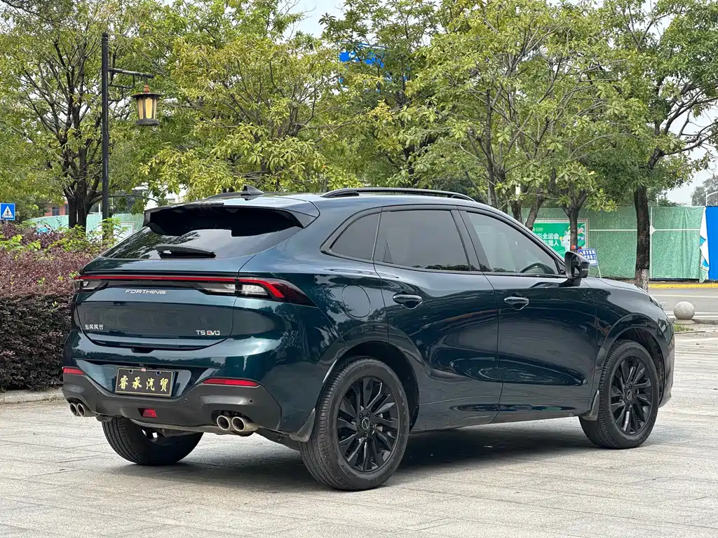 Fengxing Fengxing T5 EVO — миниатюра 6