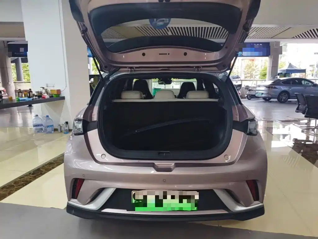 BYD Dolphin — миниатюра 19