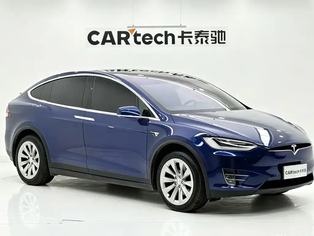Tesla Model X 2017 Model X 100D