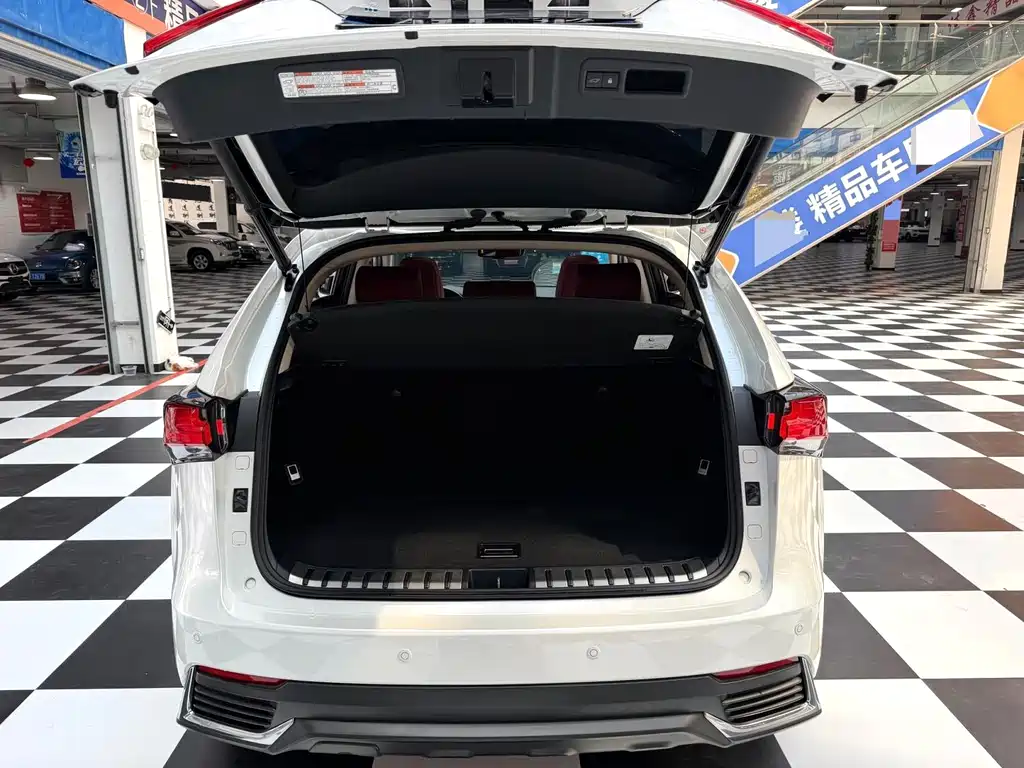 Lexus NX — миниатюра 16