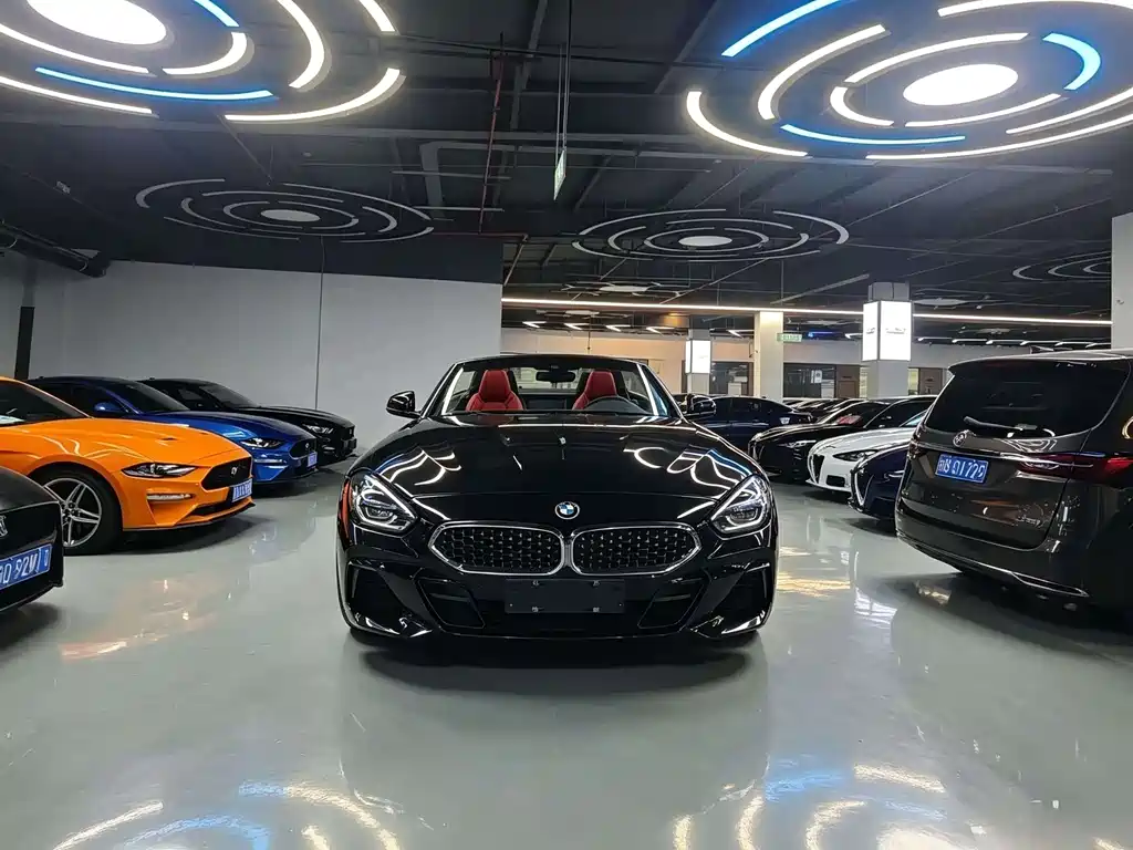 BMW Z4 — миниатюра 2