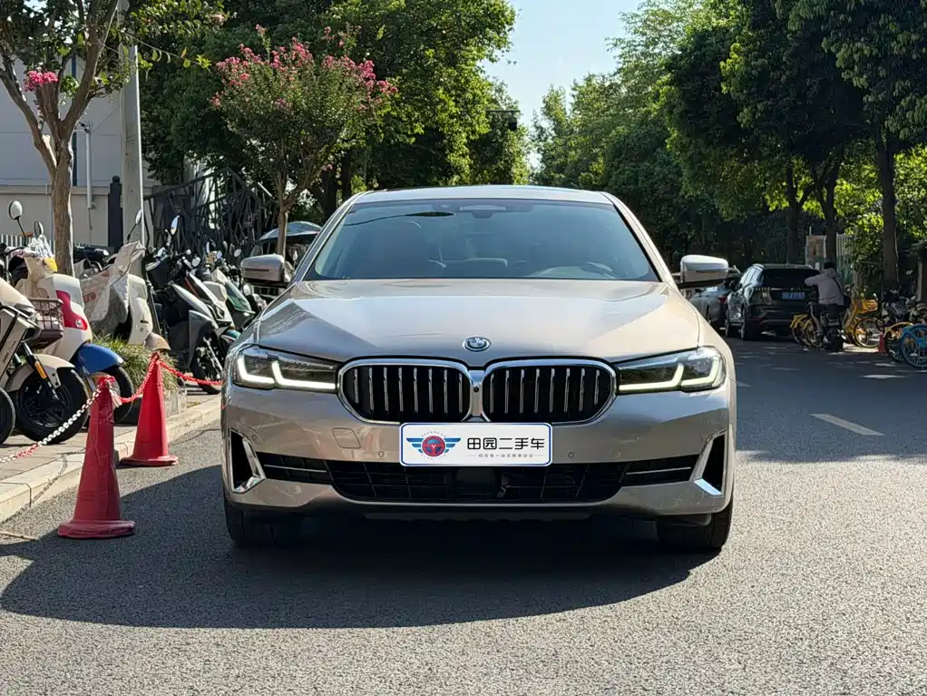 BMW 5 Series New Energy — миниатюра 2