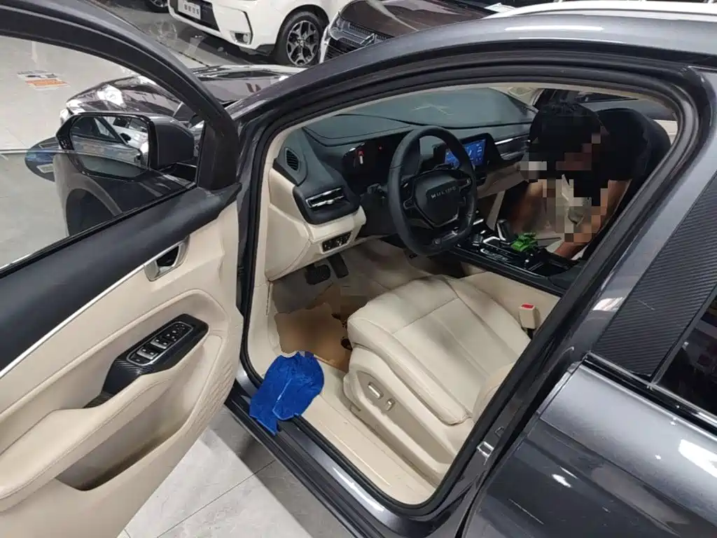 Wuling Victory — миниатюра 16