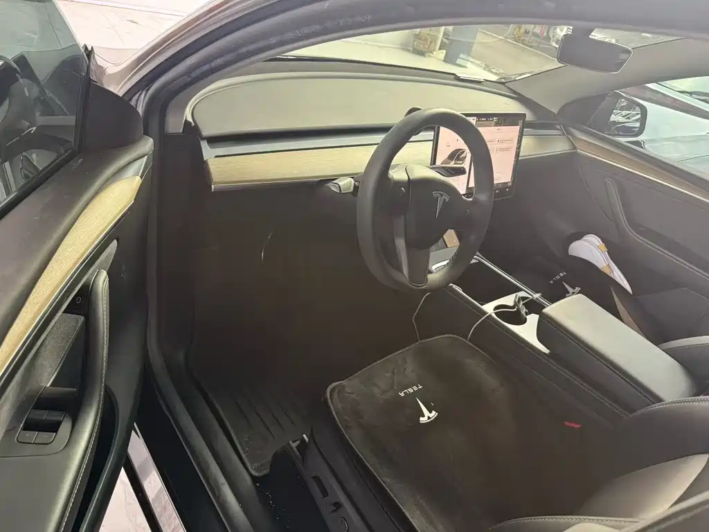 Tesla Model Y — миниатюра 2