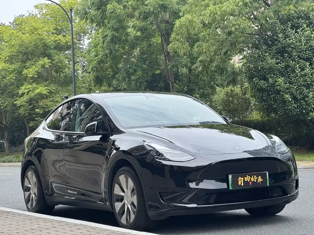 Tesla Model Y — миниатюра 3