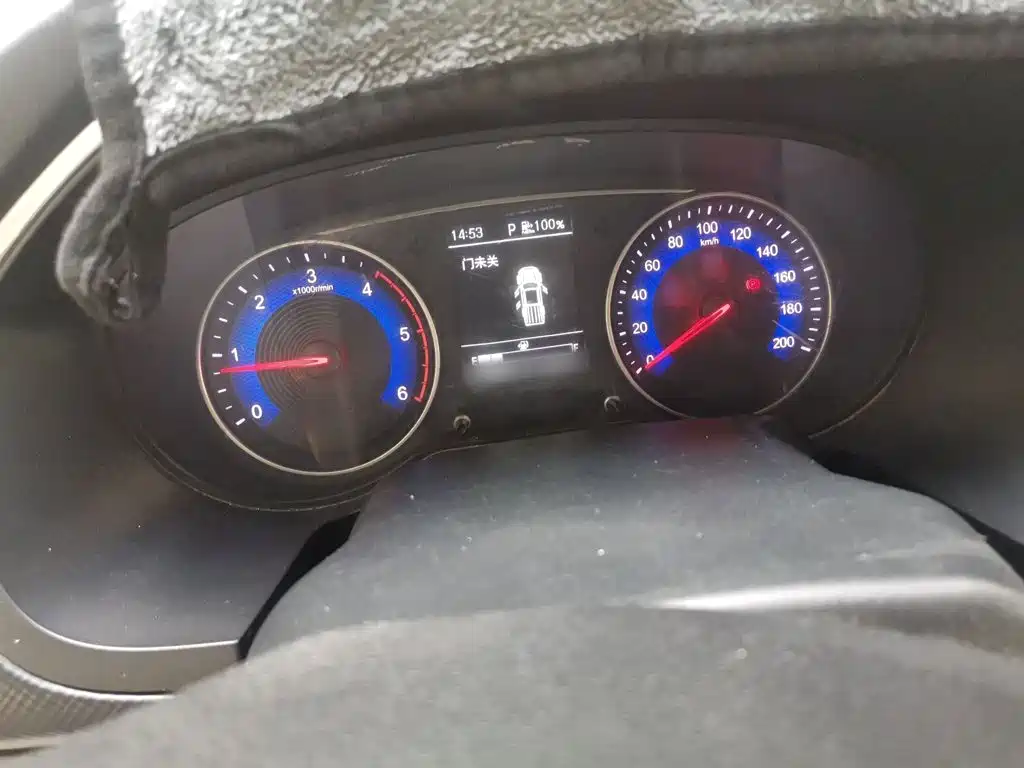 Dongfeng Rich — миниатюра 4