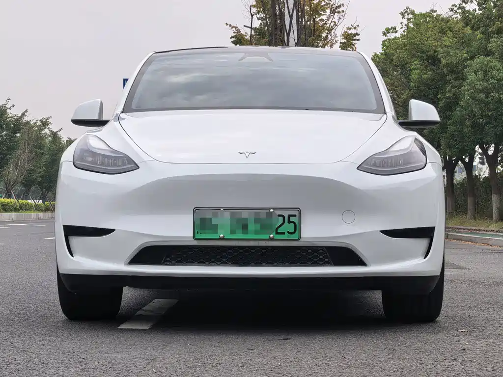 Tesla Model Y — миниатюра 2