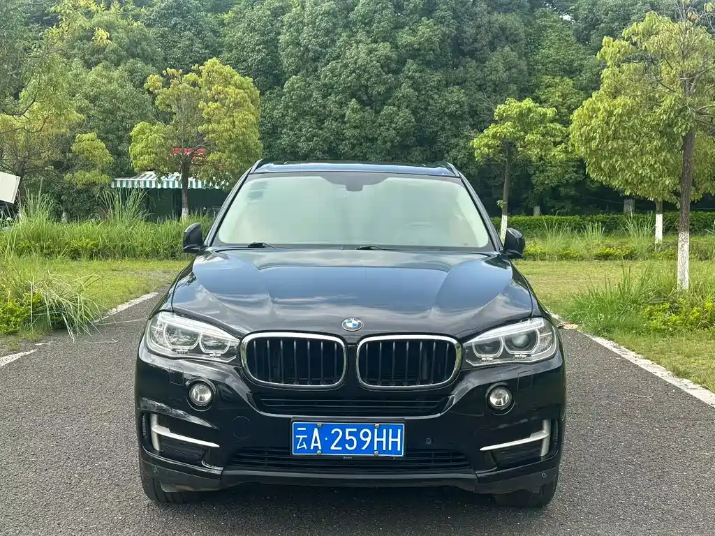 BMW X5 2014 xDrive35i Lead