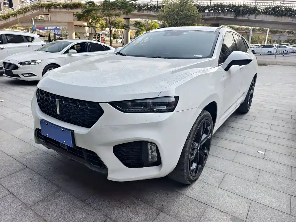 WEI PAI WEI BRAND VV7