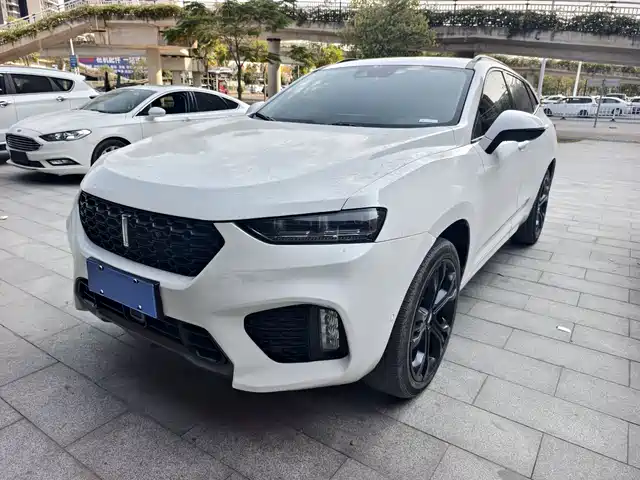 wei-pai wei-brand-vv7