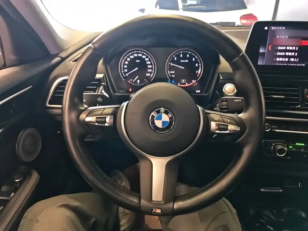 BMW 1 Series — миниатюра 11