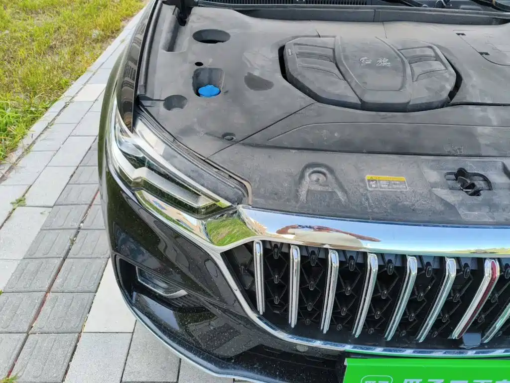Hongqi Hongqi HS5 — миниатюра 19