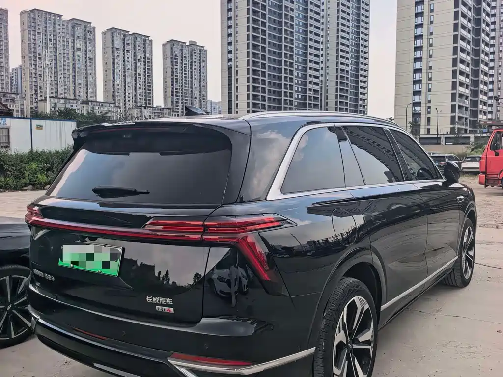 Wey Wey Lanshan — миниатюра 4