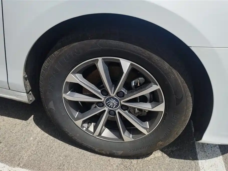 BYD Qin Plus PLUS 2024 DM-i 55KM Lead