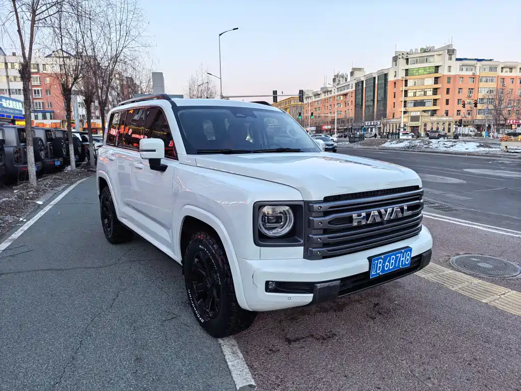 HAVAL H9