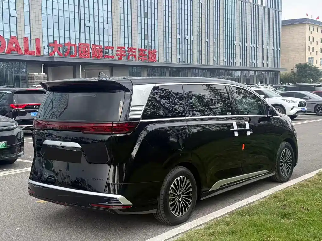Denza Denza D9 — миниатюра 9