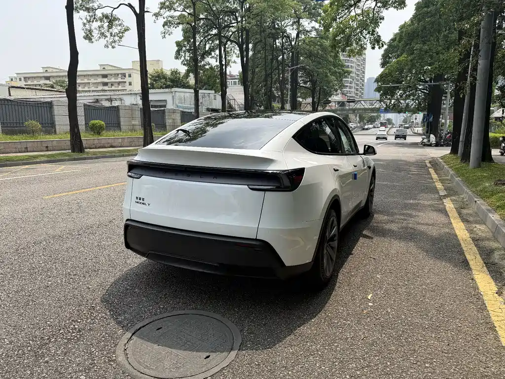 Tesla Model Y — миниатюра 10